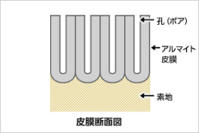 皮膜構造2